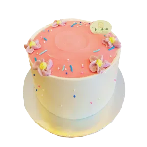 Midi Cake