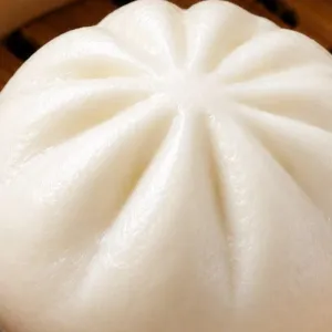 BEST SELLER PAO CHICKEN MUSHROOM