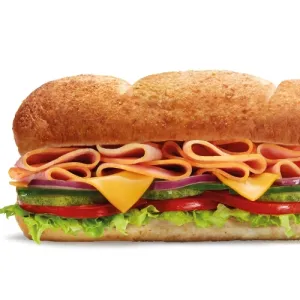 6-Inch Chicken Slice