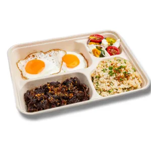 Beef Tapa Meal