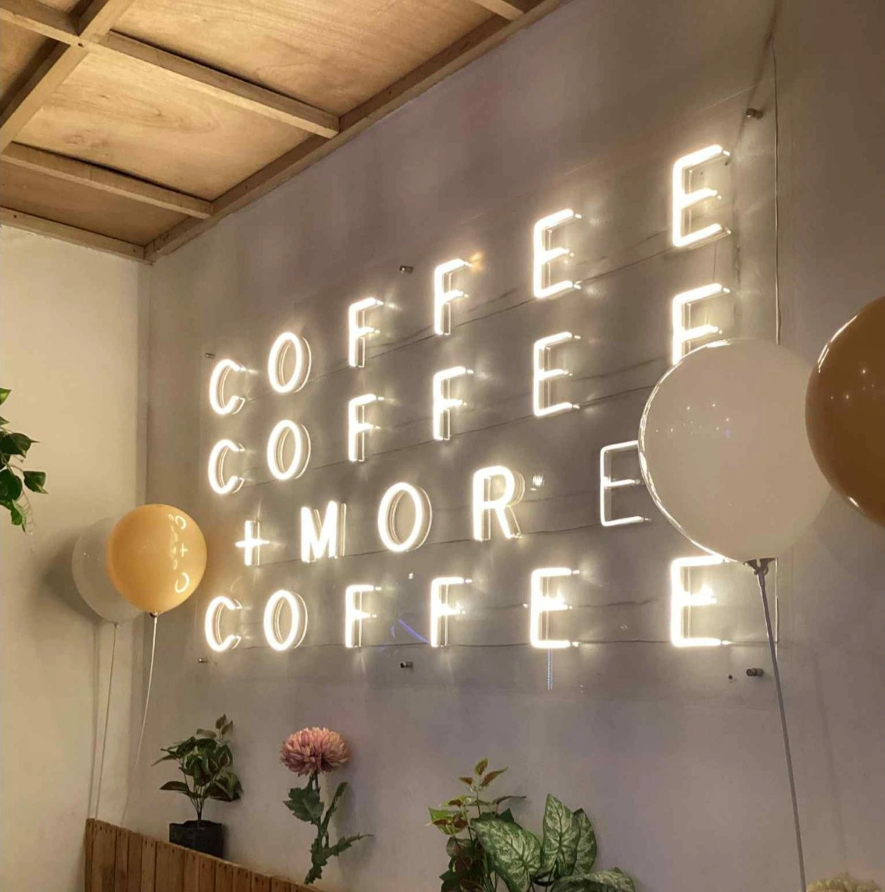 Sevi Coffee - Rongo - Coffee Restaurant - Photo 2