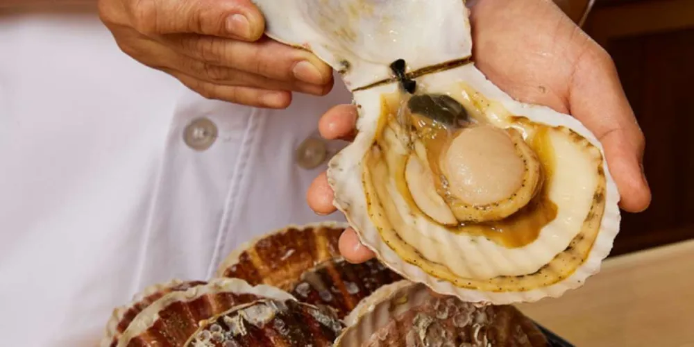 Umi Velaa - หลังสวน - Seafood Dish Restaurant - Photo 1