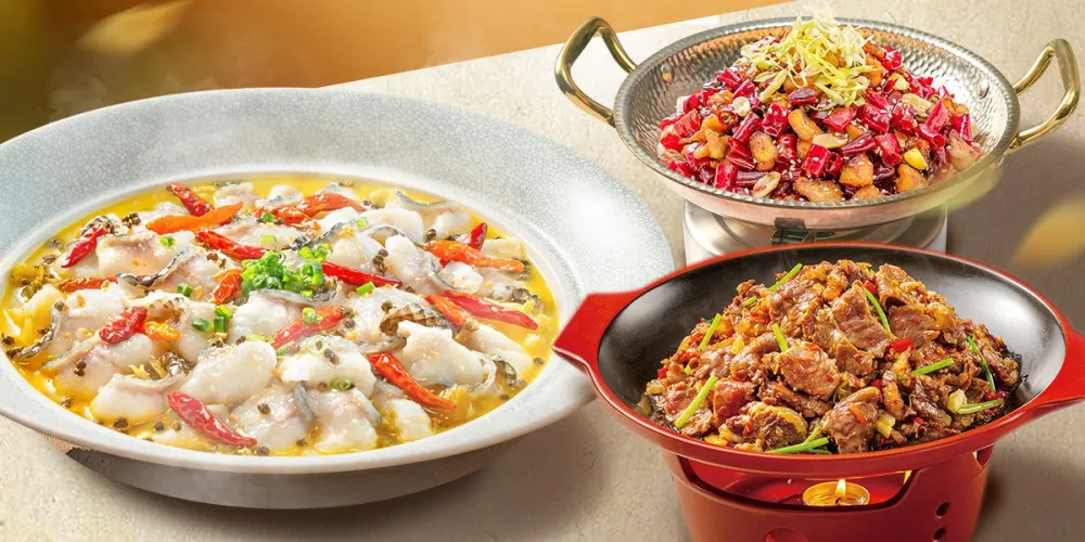 Tai Er Suancai & Fish - Suntec City Mall - Chinese Restaurant - Photo 1