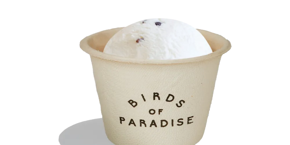 Birds of Paradise Gelato Boutique - Holland Piazza