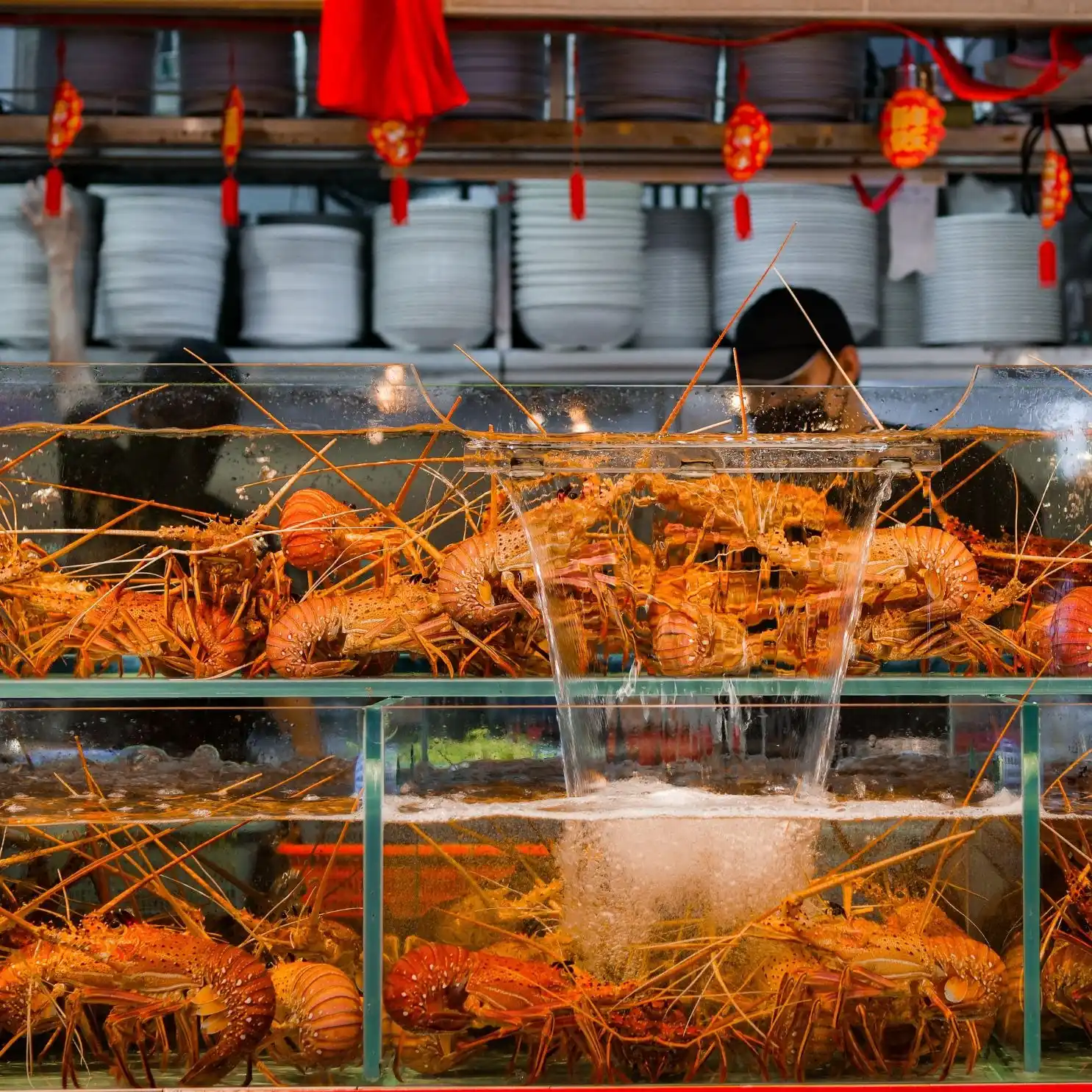 Charcoal Fishhead Steamboat 炭香鱼头炉 - Chai Chee Lane - Chinese Restaurant - Photo 2