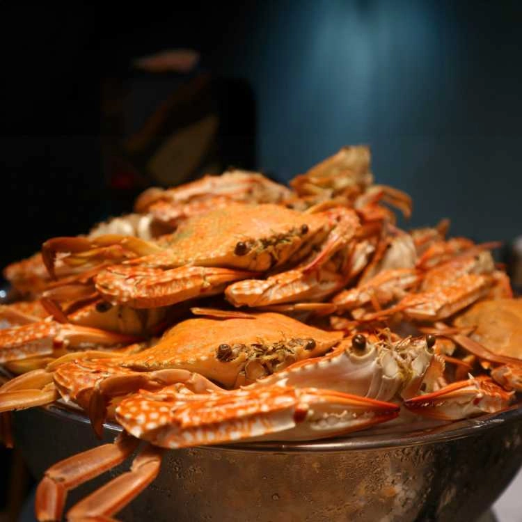 Novotel Living Saigon South - Nhà hàng Food Exchange - Seafood Dish Restaurant - Photo 2
